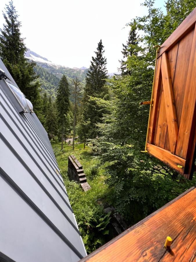 ~Chalet_Rifugio Tra I Boschi~ Sella Nevea Buitenkant foto