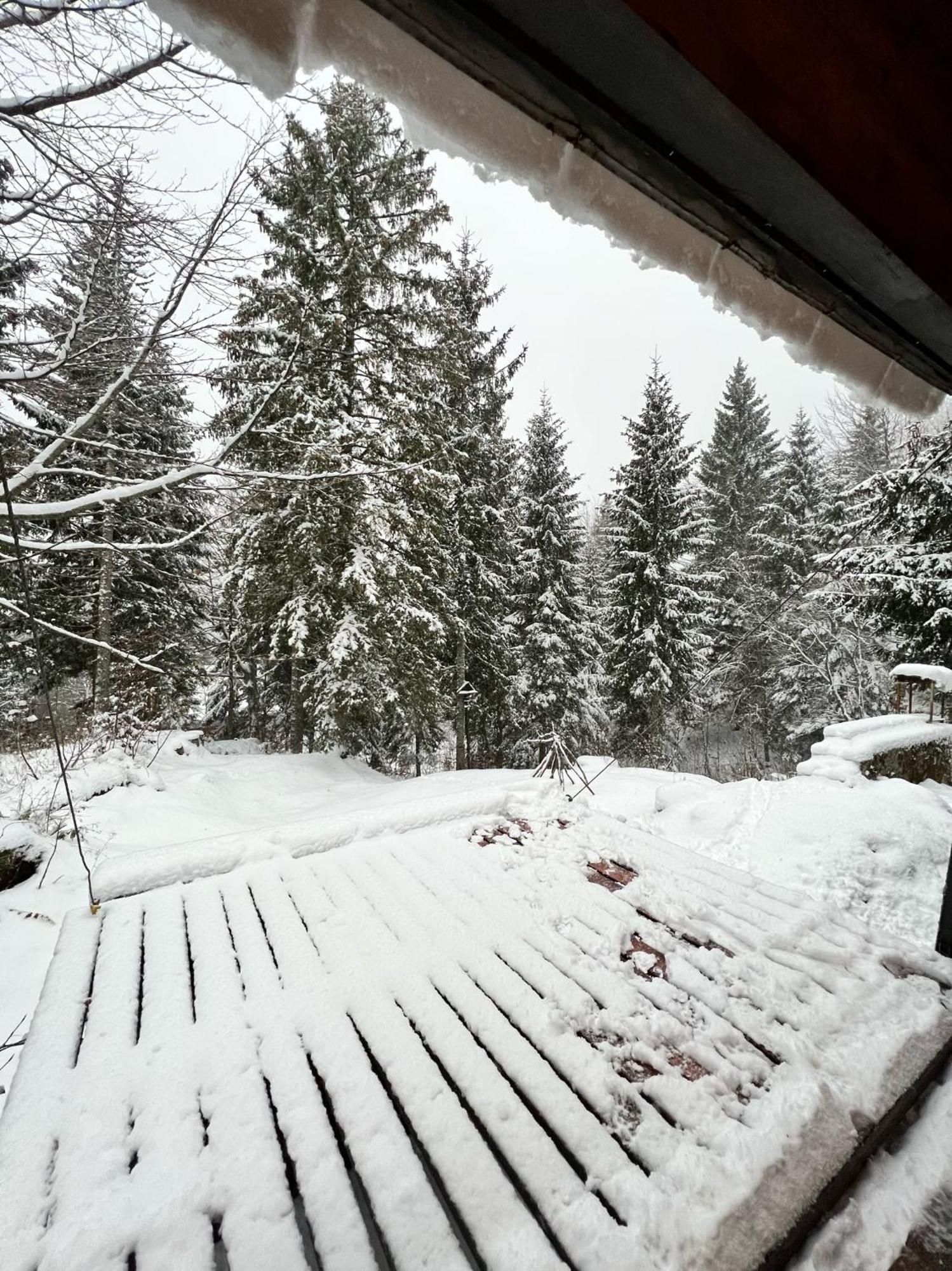 ~Chalet_Rifugio Tra I Boschi~ Sella Nevea Buitenkant foto