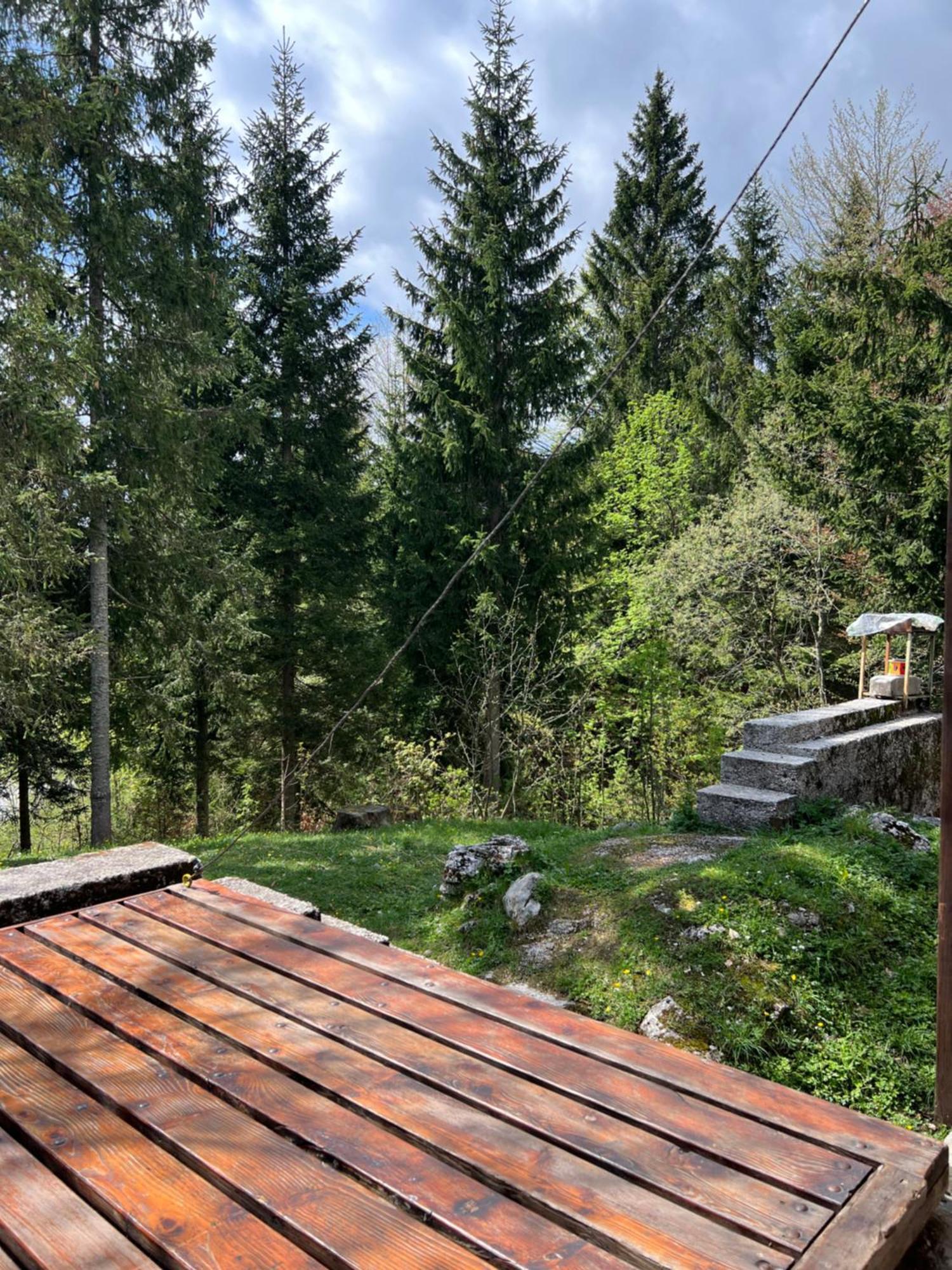 ~Chalet_Rifugio Tra I Boschi~ Sella Nevea Buitenkant foto